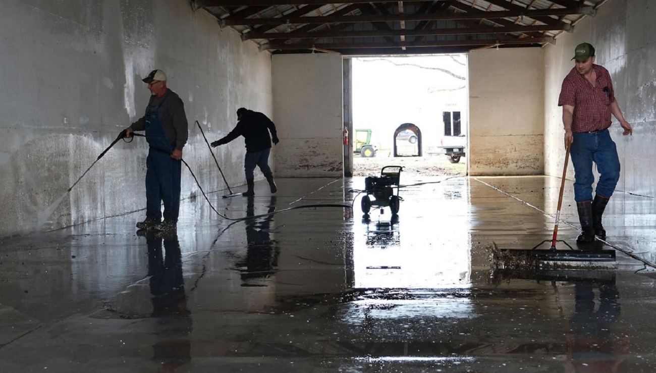 Water damage restoration Sydney